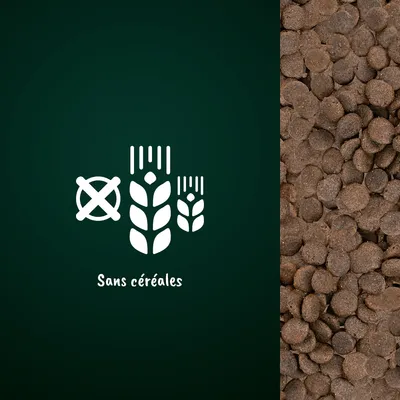 Icône épi de blé barré avec texte « Sans céréales » à côté de croquettes marron visibles en gros plan.