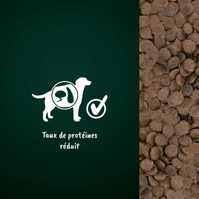 Croquettes pour chien, texte visible : Taux de protéines réduit, illustration d’un chien avec symbole digestif et coche. Vue rapprochée des croquettes à droite.
