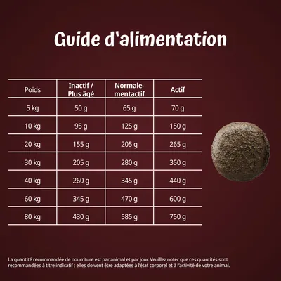Guide d’alimentation : tableau des quantités recommandées par poids de 5 à 80 kg et niveau d’activité, de 50 g à 750 g par jour. Indications pour inactif, normalement actif, actif.