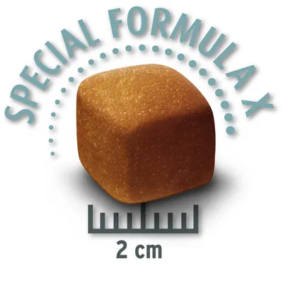 Ruskea ruokapala, jossa teksti 'Special Formula X' ja koko 2 cm.