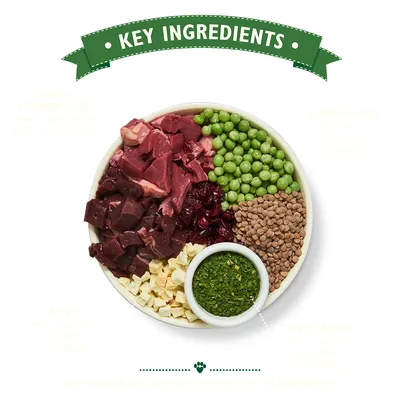 Bowl with raw lamb pieces, peas, lentils, diced apple, chopped herbs and dark red chunks. Banner above reads 'Key Ingredients'. No brand or product name visible.
