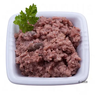Влажный корм в виде мясного паштета в белой керамической миске, украшен веточкой зелени. Видны кусочки мяса.