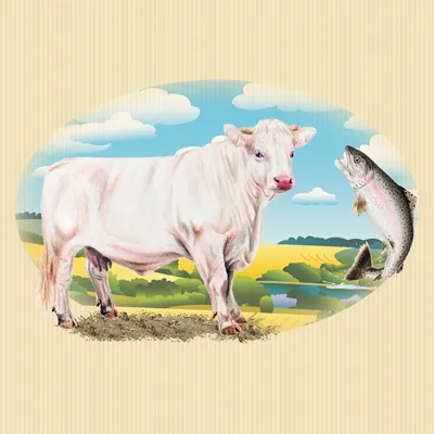 Illustratie van een witte koe en een vis naast elkaar, mogelijk ter aanduiding van rund- en visingrediënten in huisdiervoeding. Geen merknaam of tekst zichtbaar.