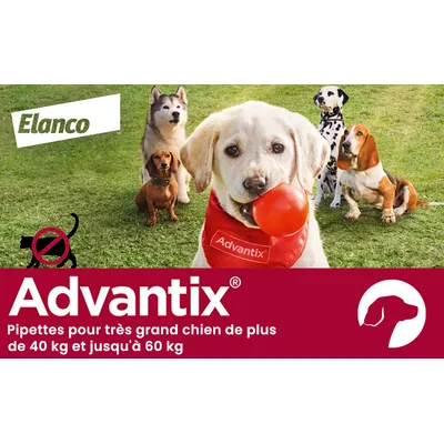 Advantix® très grand chien, de 40 kg à 60 kg