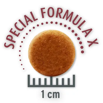 Croquette ronde, texte visible : SPECIAL FORMULA X, diamètre indiqué 1 cm avec règle graduée sous la croquette.