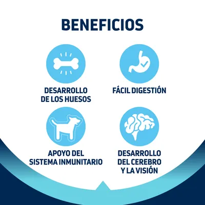 Beneficios: desarrollo de los huesos, fácil digestión, apoyo del sistema inmunitario, desarrollo del cerebro y la visión.