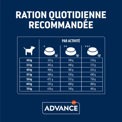 Tableau des rations quotidiennes recommandées pour chiens Advance selon poids (30–70 kg) et niveau d’activité (+ à +++), de 325 g à 965 g par jour.
