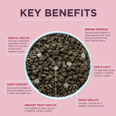 Key benefits shown: dental health, immune defence, joint support, skin and coat, urinary tract health, heart health. Each benefit is described with supporting ingredients or effects.