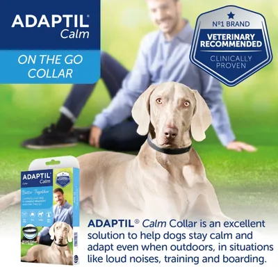 ADAPTIL Calm On The Go Collar, veterinary recommended and clinically proven, helps dogs stay calm and adapt outdoors in situations like loud noises, training and boarding.