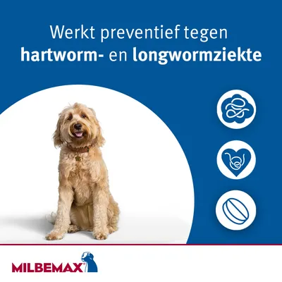 Milbemax. Werkt preventief tegen hartworm- en longwormziekte. Afbeelding van een hond met drie pictogrammen: worm, hondenkop met hart, ovaal. Tekst in het Nederlands.