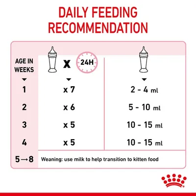 Daily feeding recommendation chart showing number of feeds and milk volume per day by age in weeks, plus note: use milk to help transition to kitten food from week 5 to 8.