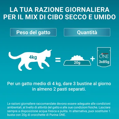 Consigli alimentari per gatto di 4 kg: 20 g crocchette Purina ONE più 3 bustine da 85 g al giorno, in almeno 2 pasti separati. Testo esplicativo sulle razioni giornaliere.