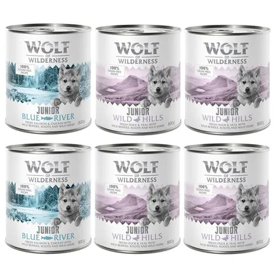 Wolf of Wilderness JUNIOR - Vegyes csomag 6 x 800 g