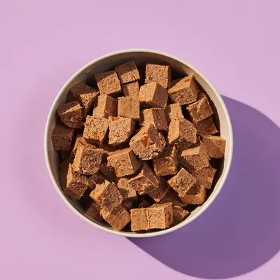 Bowl filled with brown, cube-shaped pet food pieces shown from above on a purple background.