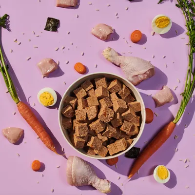 Bowl of cubed pet food surrounded by raw chicken pieces, carrots, hard-boiled eggs, carrot slices and seeds, showing visible ingredients used in the product.
