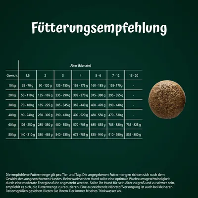 Fütterungsempfehlung für Hunde nach Gewicht und Alter. Tabelle zeigt empfohlene Gramm pro Tag von 10 kg bis 80 kg Körpergewicht, Alter 1,5 Monate bis 20 Monate.