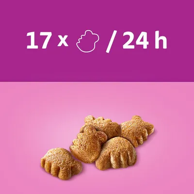Conseil d’alimentation : 17 pièces en forme de patte par 24 h, biscuits visibles en bas de l’image