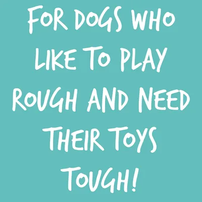 For dogs who like to play rough and need their toys tough.