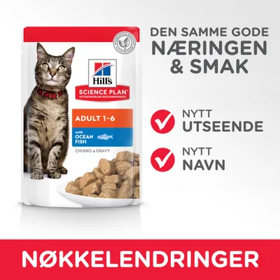 Hill's Science Plan Adult