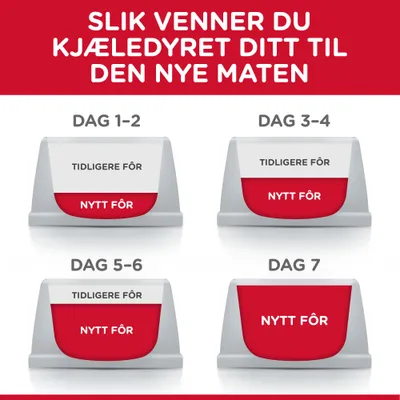 Hill's Science Plan Kitten Tunfisk