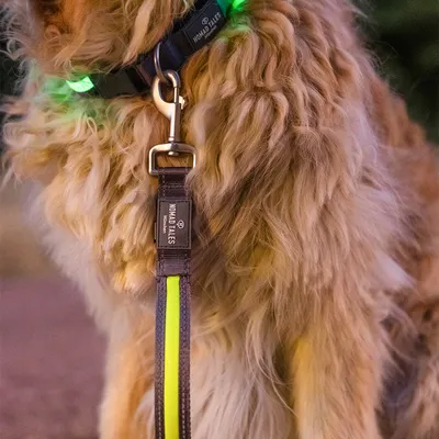 Nomad Tales hondenriem met reflecterende gele streep en metalen clip, bevestigd aan een halsband met groen oplichtende elementen.