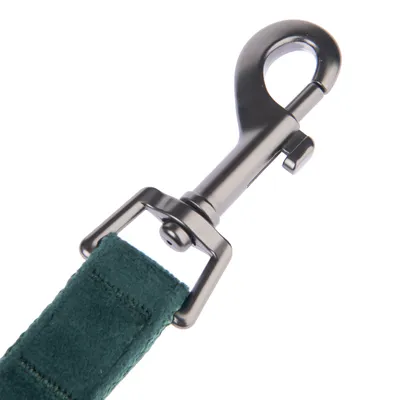 Närbild av en karbinhake i metall med grönt tygband, lämplig för fäste på koppel eller tillbehör.