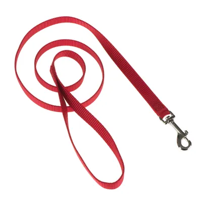Rote Hundeleine aus Nylon mit silbernem Metallkarabinerhaken.