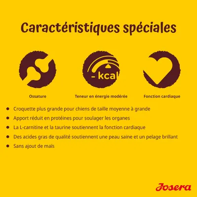 Caractéristiques spéciales Josera : ossature, teneur en énergie modérée, fonction cardiaque. Croquette grande taille, protéines réduites, L-carnitine, taurine, acides gras, sans maïs.