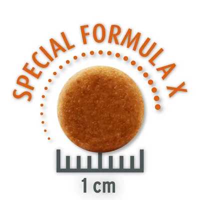 Размер на крокетите 1 см, Special Formula X. Кръгъл дизайн на крокетите с мащаб за посочване на размера.