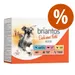 Briantos Delicious Paté 48 x 100 g - Pack económico