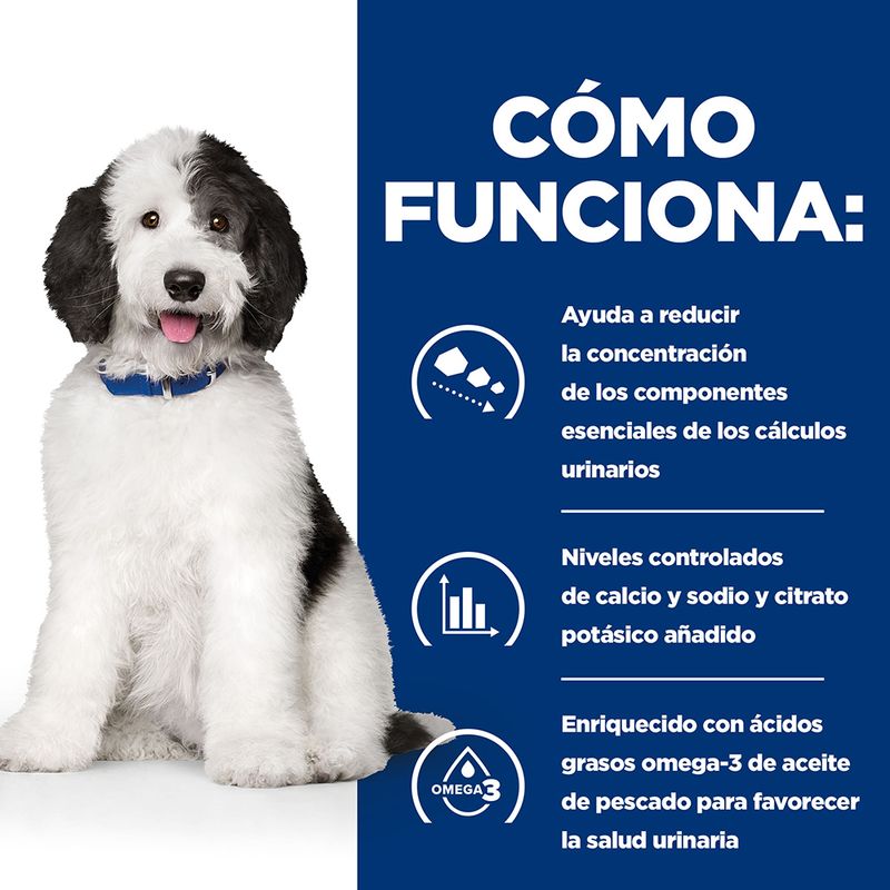 Hill's c/d Prescription Diet Multicare Urinary Care pienso para perros