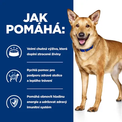 Jak pomáhá: Velmi chutná výživa, která doplní ztracené živiny. Rychlá pomoc pro podporu zdravé stolice a lepšího trávení. Pomáhá obnovit hladinu energie a imunitní systém.