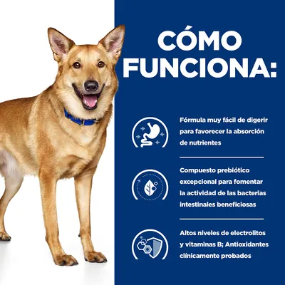 Text în limba spaniolă: Cómo funciona. Fórmula muy fácil de digerir para favorecer la absorción de nutrientes. Compuesto prebiótico excepcional para fomentar la actividad de las bacterias intestinales beneficiosas. Altos niveles de electrolitos y vitaminas B; Antioxidantes clínicamente probados.