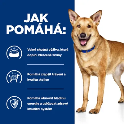 Jak pomáhá: Velmi chutná výživa, která doplní ztracené živiny. Pomáhá zlepšit trávení a kvalitu stolice. Pomáhá obnovit hladinu energie a udržovat zdravý imunitní systém.