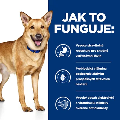 Jak to funguje: Vysoce stravitelná receptura, prebiotická vláknina pro střevní bakterie, vysoký obsah elektrolytů a vitaminu B, klinicky ověřené antioxidanty. Pes vedle textu.