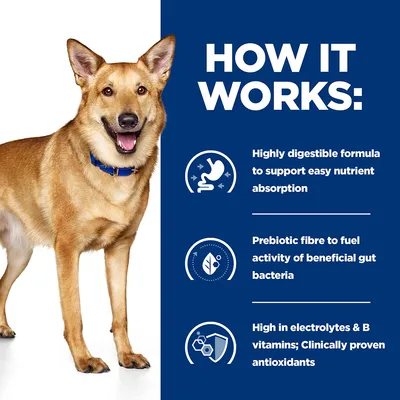How it works: Highly digestible formula for nutrient absorption, prebiotic fibre for gut bacteria, high in electrolytes and B vitamins, clinically proven antioxidants.