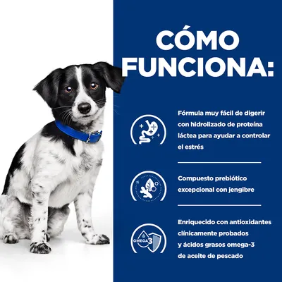 CÓMO FUNCIONA: Fórmula muy fácil de digerir con hidrolizado de proteína láctea para ayudar a controlar el estrés. Compuesto prebiótico excepcional con jengibre. Enriquecido con antioxidantes y omega-3.