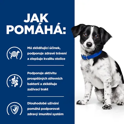 Text v češtine: Jak pomáhá: Má zklidňující účinek, podporuje zdravé trávení a zlepšuje kvalitu stolice, podporuje aktivitu prospešných střevních bakterií, dlouhodobé užívání podporuje imunitní systém.