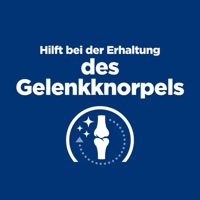 Hilft bei der Erhaltung des Gelenkknorpels. Symbol eines Gelenks mit Sternen und Kreissymbol.