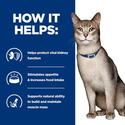 How it helps: protects vital kidney function, stimulates appetite and increases food intake, supports natural ability to build and maintain muscle mass. Cat shown beside benefits list.