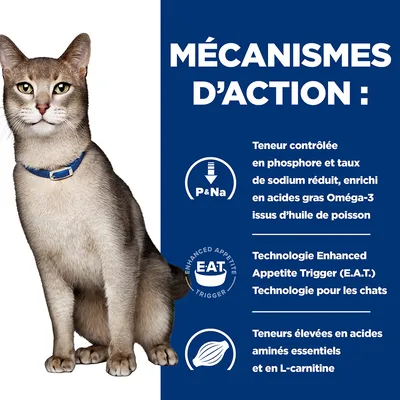 Mécanismes d’action : phosphore et sodium réduits, Oméga-3 huile de poisson, technologie Enhanced Appetite Trigger (E.A.T.), acides aminés essentiels et L-carnitine. Chat avec collier bleu.