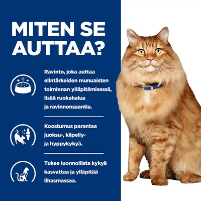 Teksti: MITEN SE AUTTAA? Ravinto, joka auttaa elintärkeiden munuaisten toiminnan ylläpitämisessä, lisää ruokahalua ja ravinnonsaantia. Koostumus parantaa juoksu-, kiipeily- ja hyppykykyä. Tukee luonnollista kykyä kasvattaa ja ylläpitää lihasmassaa.