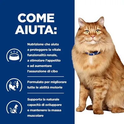 COME AIUTA: Nutrizione che aiuta a proteggere la vitale funzionalità renale, stimolare l’appetito, aumentare l’assunzione di cibo, migliorare le abilità motorie e mantenere la massa muscolare.