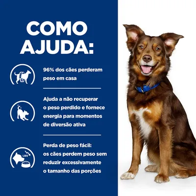 Como ajuda: 96% dos cães perderam peso em casa. Ajuda a não recuperar o peso perdido e fornece energia para momentos de diversão ativa. Perda de peso fácil sem reduzir porções.