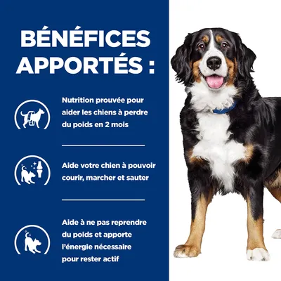 BÉNÉFICES APPORTÉS : Nutrition prouvée pour aider les chiens à perdre du poids en 2 mois, aide à courir, marcher, sauter et à ne pas reprendre du poids, énergie pour rester actif.