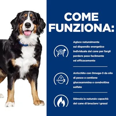 COME FUNZIONA: Agisce sul dispendio energetico del cane, arricchito con Omega-3 da olio di pesce, contiene glucosammina e condroitina solfato, stimola la capacità di bruciare i grassi.