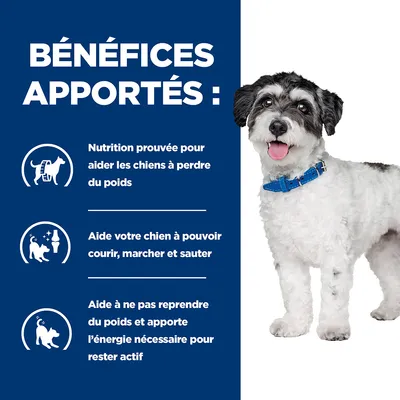 BÉNÉFICES APPORTÉS : Nutrition prouvée pour aider les chiens à perdre du poids, aide à courir, marcher et sauter, aide à ne pas reprendre du poids et apporte l’énergie nécessaire.