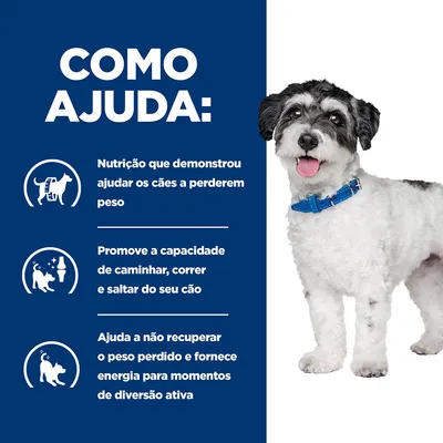 Texto: Como ajuda: Nutrição que demonstrou ajudar os cães a perderem peso. Promove a capacidade de caminhar, correr e saltar do seu cão. Ajuda a não recuperar o peso perdido e fornece energia.