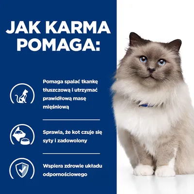 Jak karma pomaga: spalać tkankę tłuszczową i utrzymać masę mięśniową, sytość i zadowolenie kota, wspiera zdrowie układu odpornościowego. Tekst po polsku.