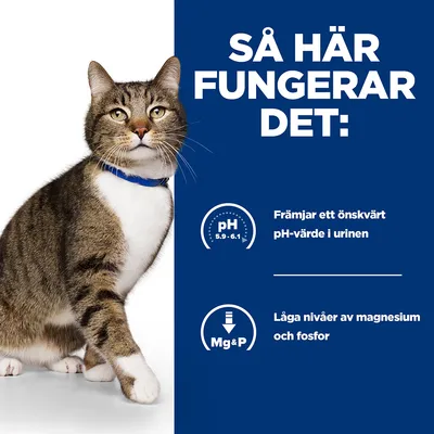Så här fungerar det: Främjar ett önskvärt pH-värde i urinen (pH 5,9–6,1). Låga nivåer av magnesium och fosfor. Bild på katt med blått halsband.
